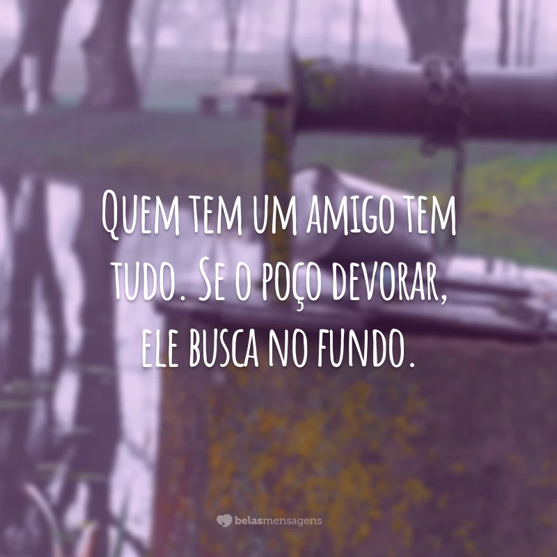 Quem tem um amigo tem tudo. Se o poço devorar, ele busca no fundo.