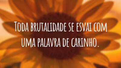 Toda brutalidade se esvai com uma palavra de carinho.