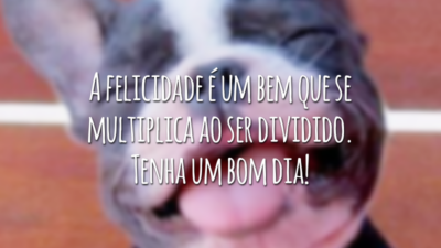 A felicidade é um bem que se multiplica ao ser dividido. Tenha um bom dia!