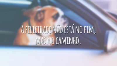 A felicidade não está no fim, mas no caminho.
