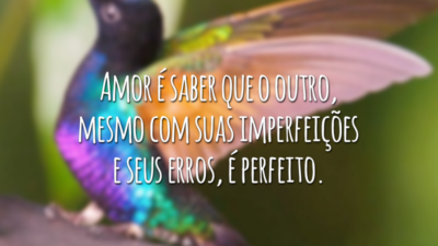 Amor é saber que o outro, mesmo com suas imperfeições e seus erros, é perfeito.