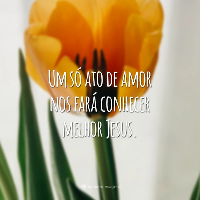 Um só ato de amor nos fará conhecer melhor Jesus.