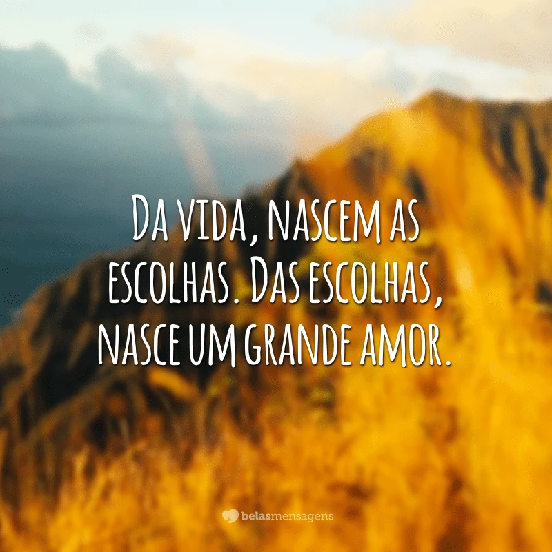 Da vida, nascem as escolhas. Das escolhas, nasce um grande amor.