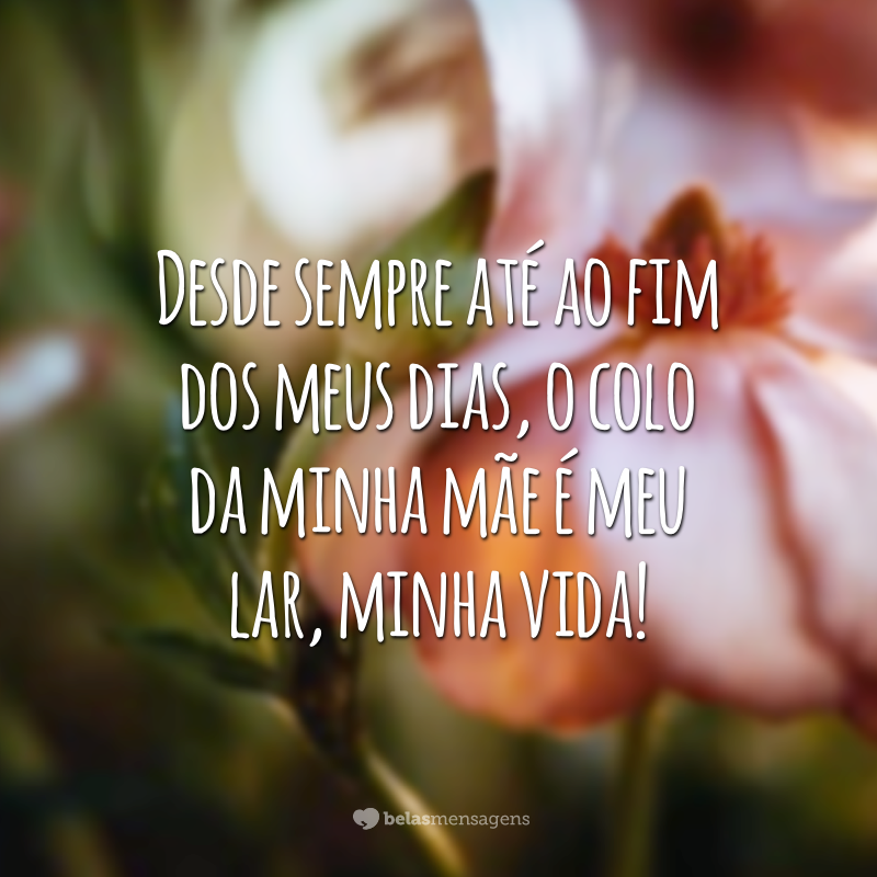 Desde sempre até ao fim dos meus dias, o colo da minha mãe é meu lar, minha vida!