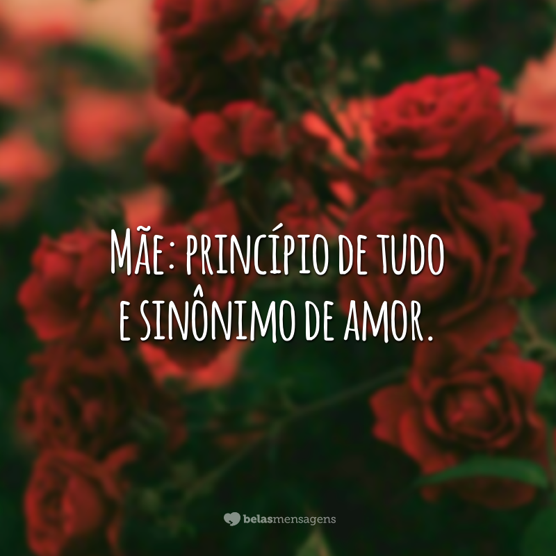 Mãe: princípio de tudo e sinônimo de amor.