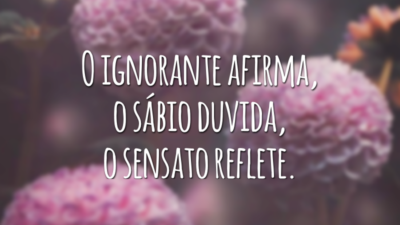 O ignorante afirma, o sábio duvida, o sensato reflete.