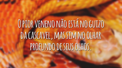 O pior veneno não está no guizo da cascavel, mas sim no olhar profundo de seus olhos.