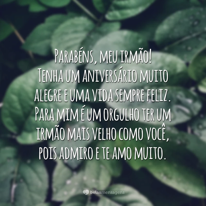 Parabéns, meu irmão! Tenha um aniversário muito alegre e uma vida sempre feliz. Para mim é um orgulho ter um irmão mais velho como você, pois admiro e te amo muito.