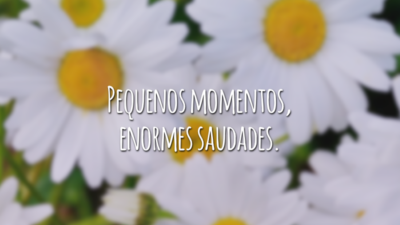 Pequenos momentos, enormes saudades.