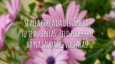 Se pela força da distância, tu te ausentas. Pelo poder que há na saudade, voltarás!