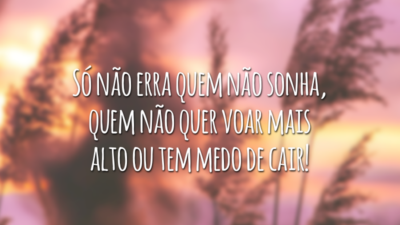 Só não erra quem não sonha, quem não quer voar mais alto ou tem medo de cair!