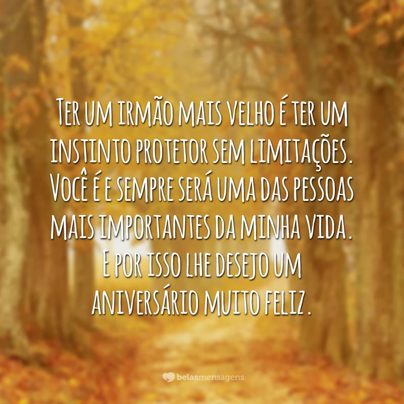 Ter um irmão mais velho é ter um instinto protetor sem limitações. Você é e sempre será uma das pessoas mais importantes da minha vida. E por isso lhe desejo um aniversário muito feliz. Parabéns, irmão!