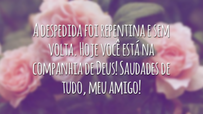 A despedida foi repentina e sem volta. Hoje você está na companhia de Deus! Saudades de tudo, meu amigo!