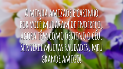 A minha amizade e carinho por você mudaram de endereço, agora têm como destino o céu. Sentirei muitas saudades, meu grande amigo!