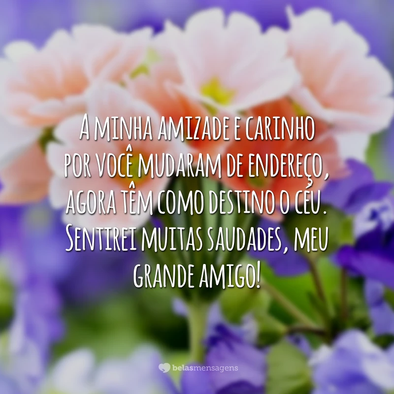 A minha amizade e carinho por você mudaram de endereço, agora têm como destino o céu. Sentirei muitas saudades, meu grande amigo!