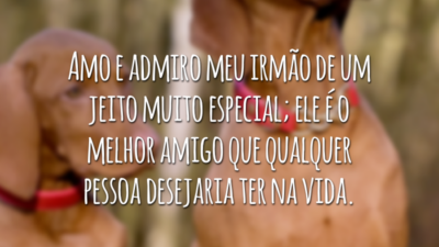 Amo e admiro meu irmão de um jeito muito especial; ele é o melhor amigo que qualquer pessoa desejaria ter na vida.