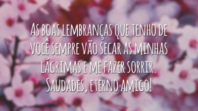 As boas lembranças que tenho de você sempre vão secar as minhas lágrimas e me fazer sorrir. Saudades, eterno amigo!