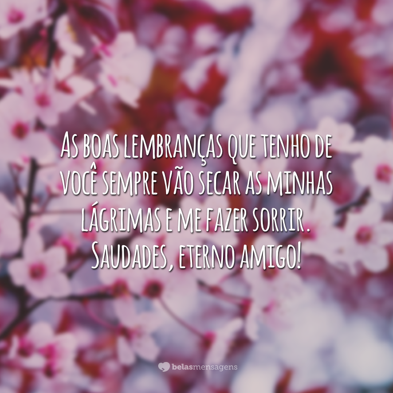 As boas lembranças que tenho de você sempre vão secar as minhas lágrimas e me fazer sorrir. Saudades, eterno amigo!