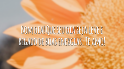 Bom dia! Que seu dia seja leve e regado de boas energias. Te amo!