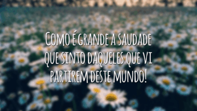 Como é grande a saudade que sinto daqueles que vi partirem deste mundo!