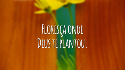 Floresça onde Deus te plantou.