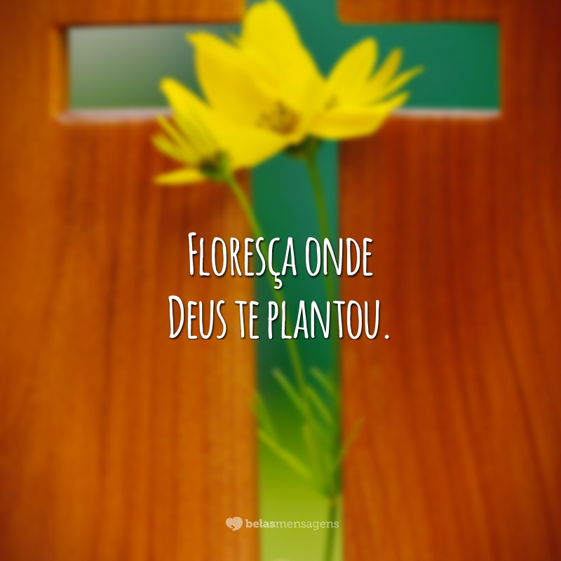 Floresça onde Deus te plantou.