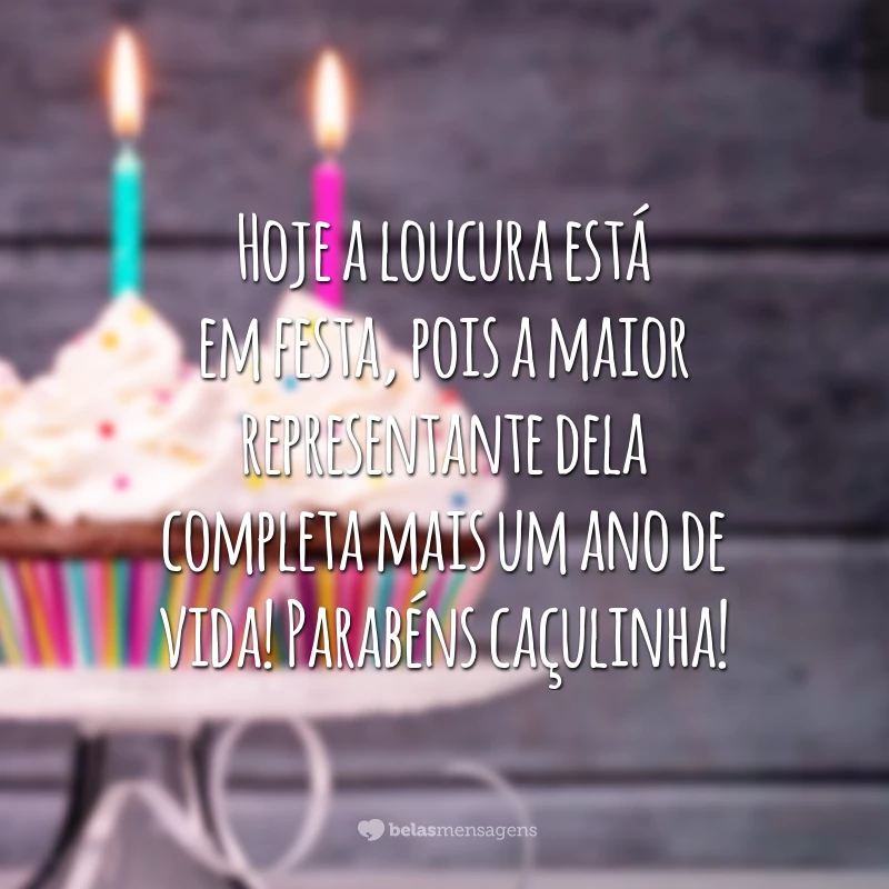 Hoje a loucura está em festa, pois a maior representante dela completa mais um ano de vida! Parabéns caçulinha!