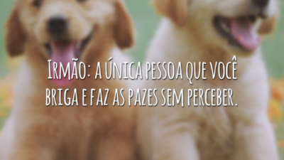 Irmão: a única pessoa que você briga e faz as pazes sem perceber.