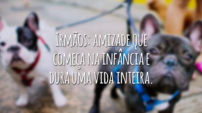 Irmãos: amizade que começa na infância e dura uma vida inteira.