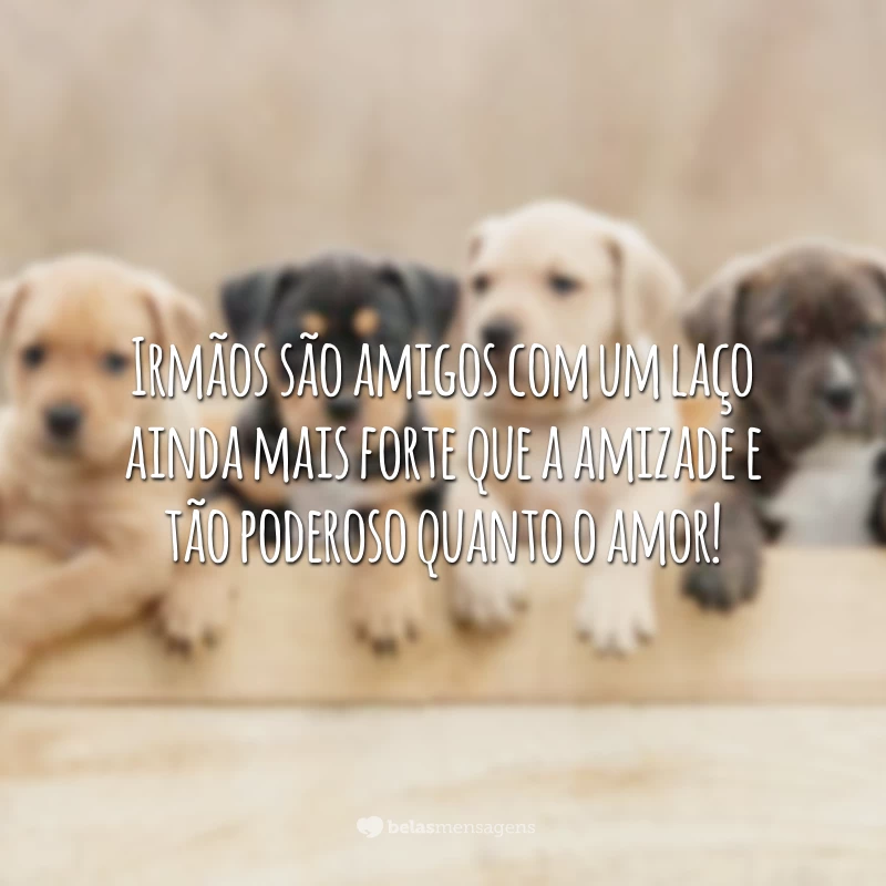 Irmãos são amigos com um laço ainda mais forte que a amizade e tão poderoso quanto o amor!