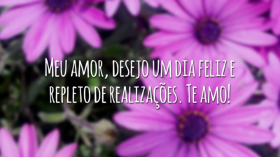 Meu amor, desejo um dia feliz e repleto de realizações. Te amo!