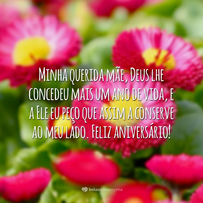 Minha querida mãe, Deus lhe concedeu mais um ano de vida, e a Ele eu peço que assim a conserve ao meu lado. Feliz aniversário!