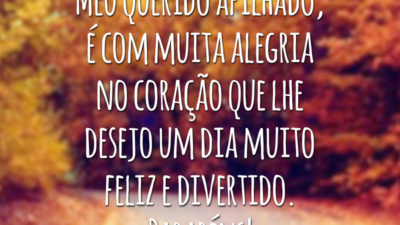 Meu querido afilhado, é com muita alegria no coração que lhe desejo um dia muito feliz e divertido. Parabéns!