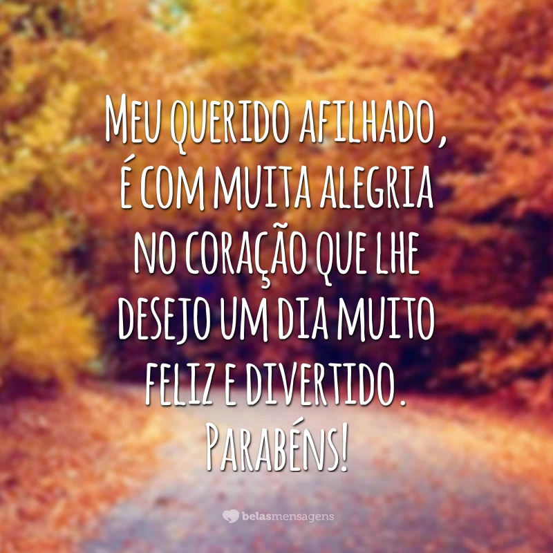 Meu querido afilhado, é com muita alegria no coração que lhe desejo um dia muito feliz e divertido. Parabéns!