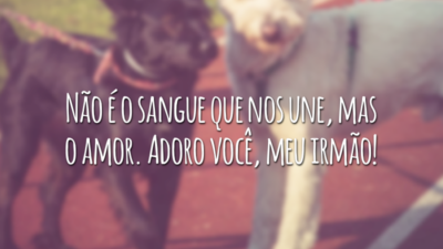 Não é o sangue que nos une, mas o amor. Adoro você, meu irmão!
