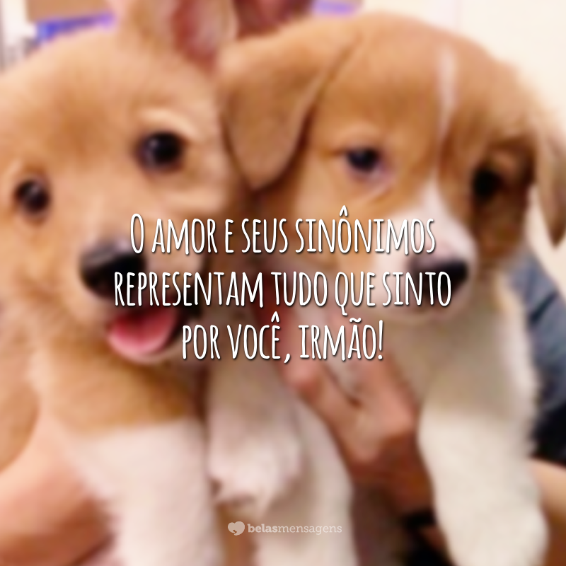 O amor e seus sinônimos representam tudo que sinto por você, irmão!