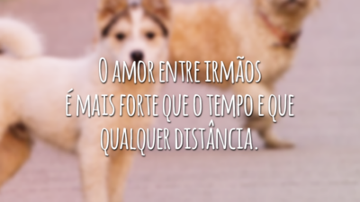 O amor entre irmãos é mais forte que o tempo e que qualquer distância.