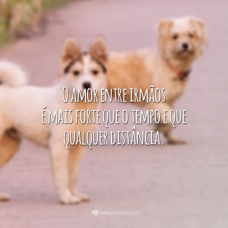 O amor entre irmãos é mais forte que o tempo e que qualquer distância.