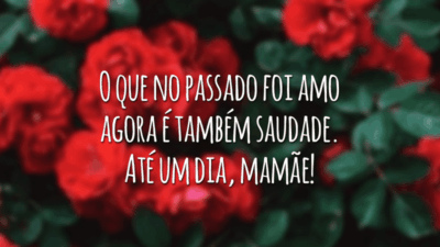 O que no passado foi amor agora é também saudade. Até um dia, mamãe!