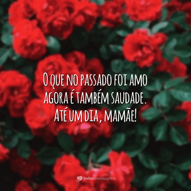 O que no passado foi amor agora é também saudade. Até um dia, mamãe!