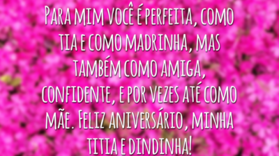 Para mim você é perfeita, como tia e como madrinha, mas também como amiga, confidente, e por vezes até como mãe. Feliz aniversário, minha titia e dindinha!