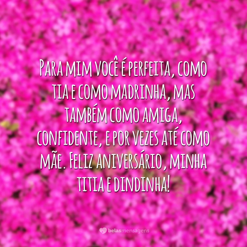 Para mim você é perfeita, como tia e como madrinha, mas também como amiga, confidente, e por vezes até como mãe. Feliz aniversário, minha titia e dindinha!