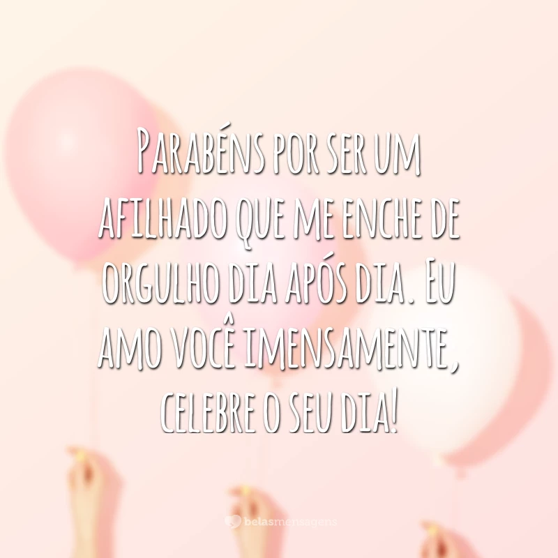 Parabéns por ser um afilhado que me enche de orgulho dia após dia. Eu amo você imensamente, celebre o seu dia!