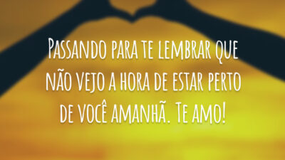 Passando para te lembrar que não vejo a hora de estar perto de você amanhã. Te amo!