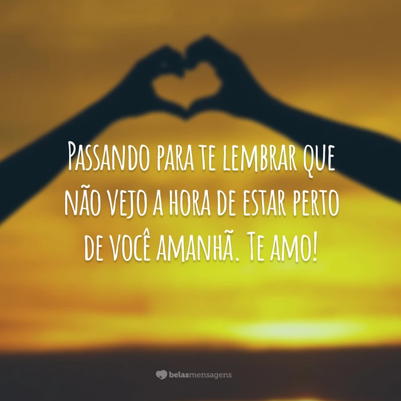 Passando para te lembrar que não vejo a hora de estar perto de você amanhã. Te amo!