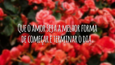 Que o amor seja a melhor forma de começar e terminar o dia.
