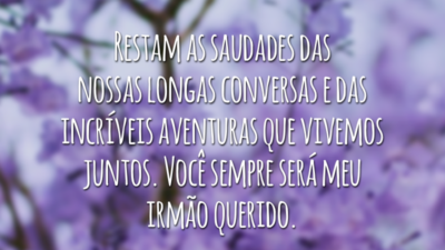 Restam as saudades das nossas longas conversas e das incríveis aventuras que vivemos juntos. Você sempre será meu irmão querido.