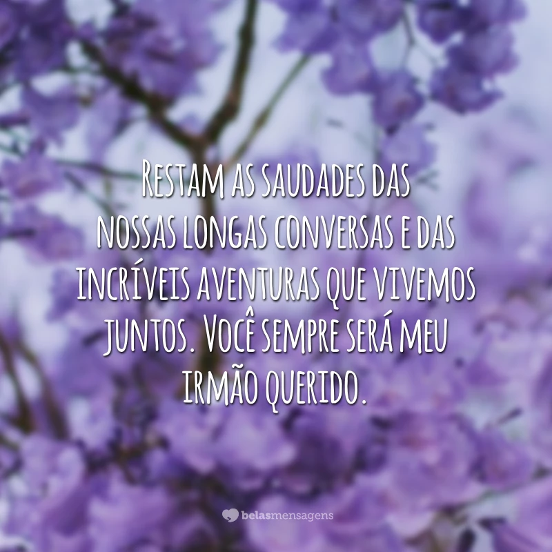 Restam as saudades das nossas longas conversas e das incríveis aventuras que vivemos juntos. Você sempre será meu irmão querido. 