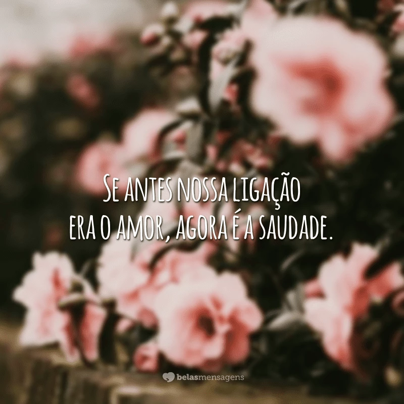 Se antes nossa ligação era o amor, agora é a saudade.