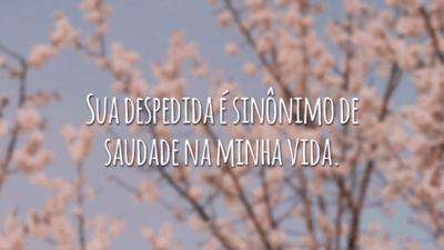 Sua despedida é sinônimo de saudade na minha vida.